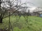 Pest megye - Zsámbék